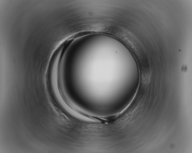 X0000098220532200805011236