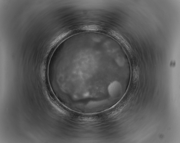 X0000098220533200805011236