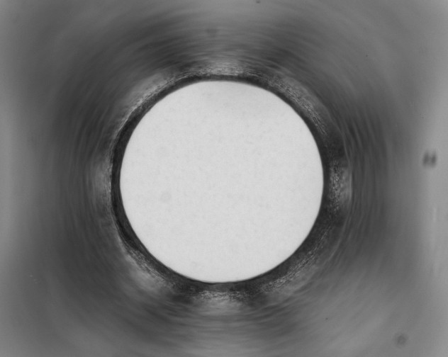 X0000098220534200805011236