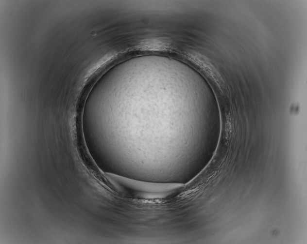 X0000098220535200805011236