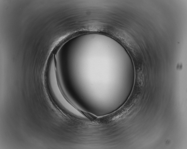 X0000098220536200805011236