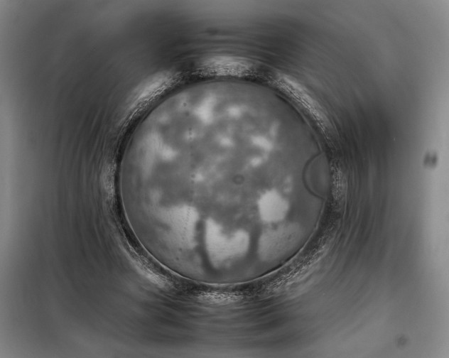 X0000098220537200805011236