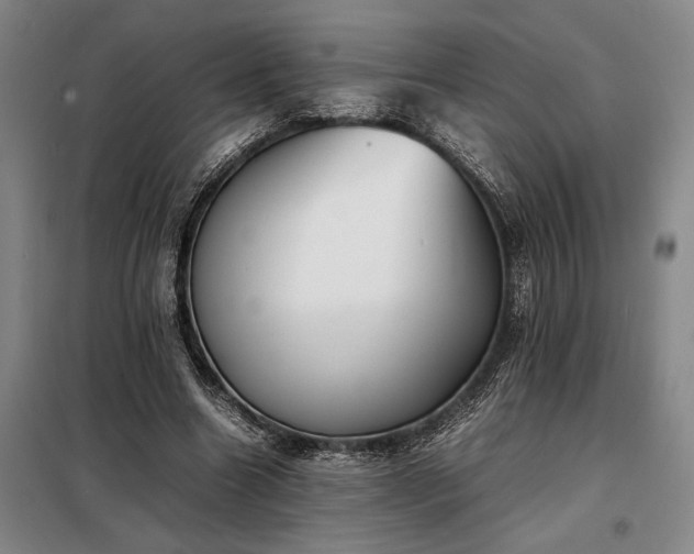 X0000098220538200805011236