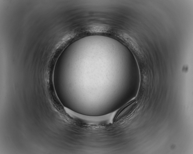 X0000098220539200805011236