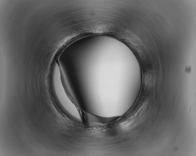 X0000098220540200805011236