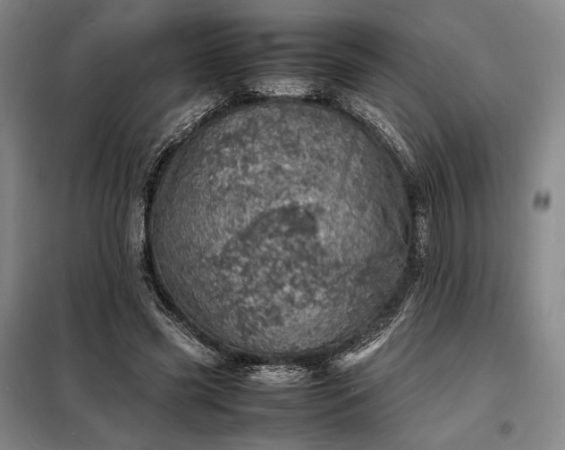 X0000098220541200805011236