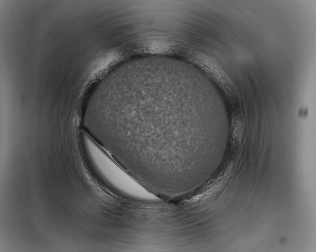 X0000098220542200805011236