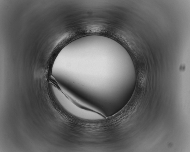 X0000098220543200805011236