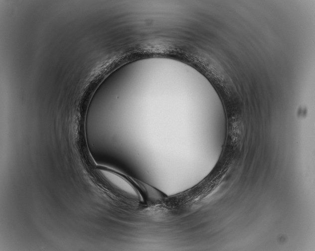 X0000098220544200805011236