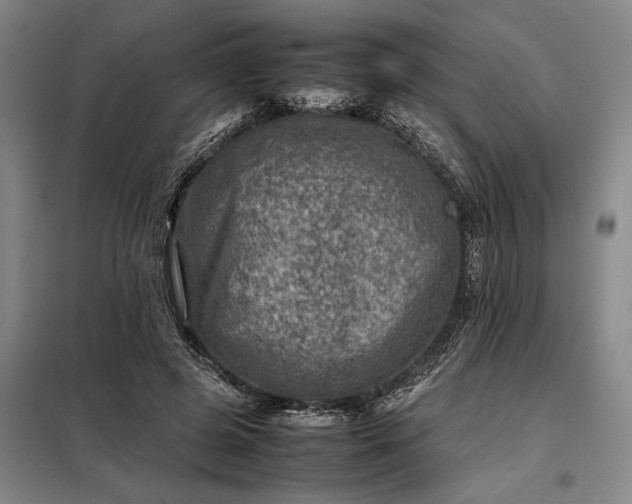 X0000098220545200805011236