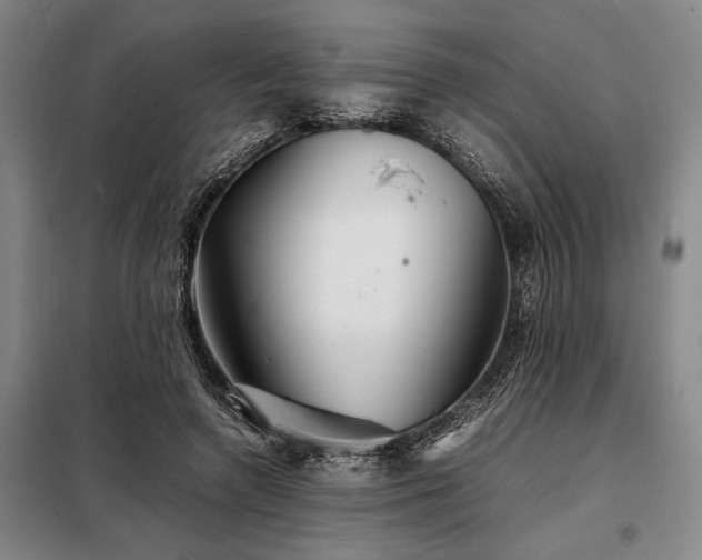 X0000098220546200805011236