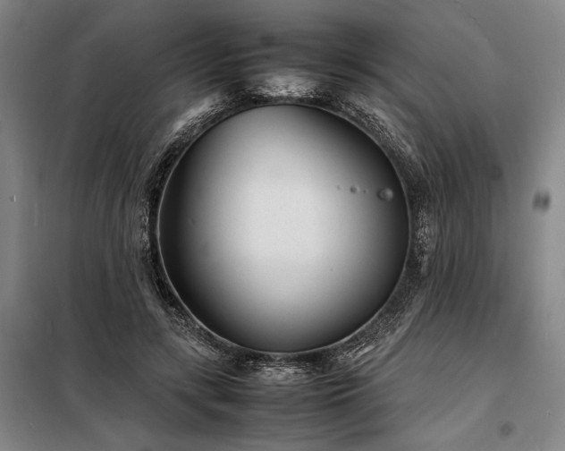 X0000098220547200805011236