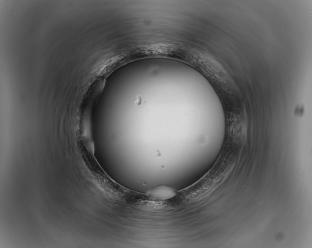 X0000098220548200805011236