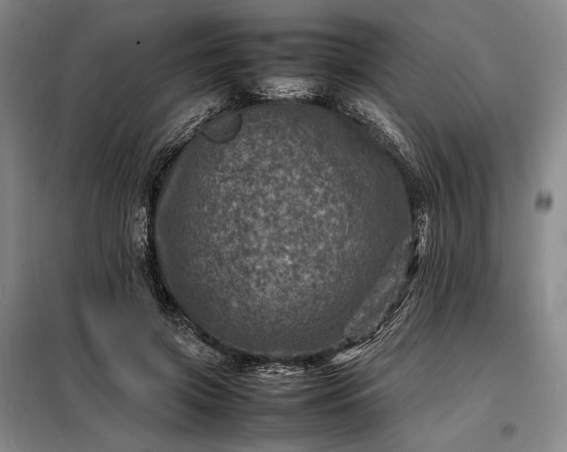 X0000098220549200805011236