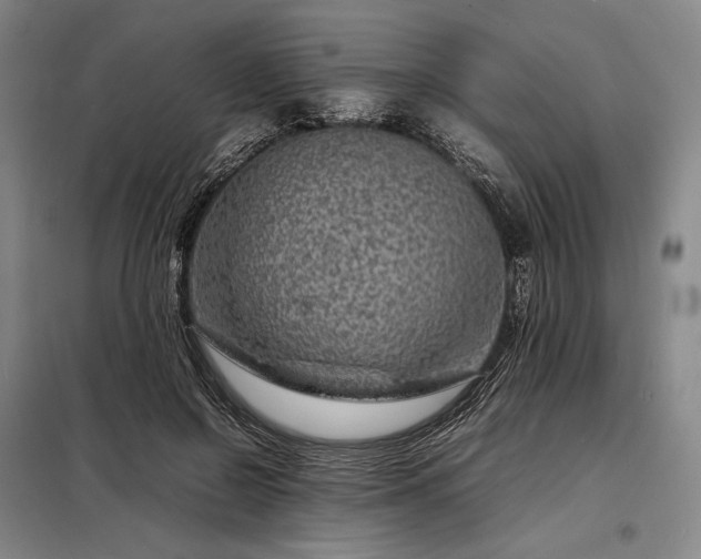 X0000098220550200805011237