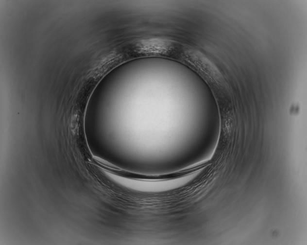 X0000098220551200805011237