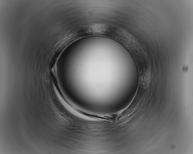 X0000098220552200805011237