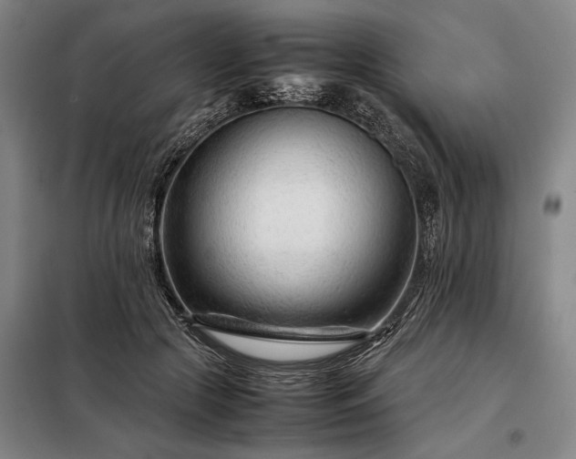 X0000098220553200805011237