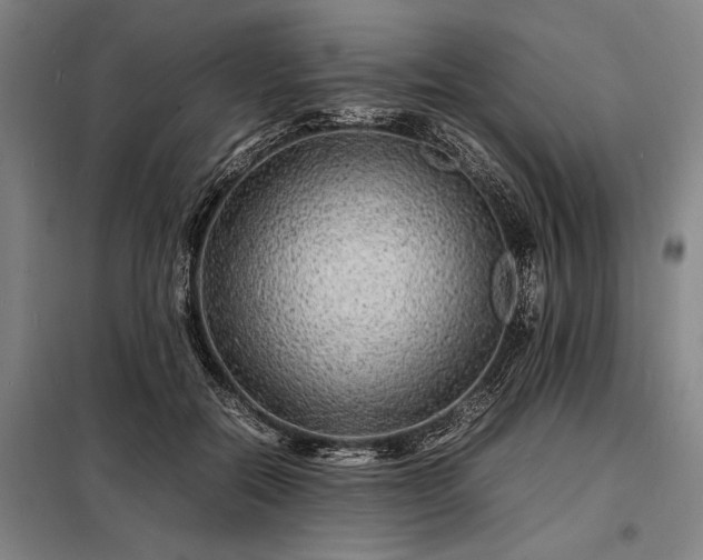 X0000098220554200805011237