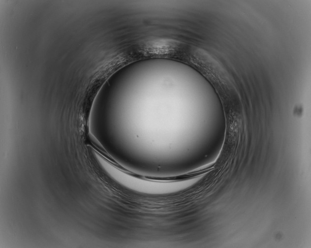 X0000098220555200805011237