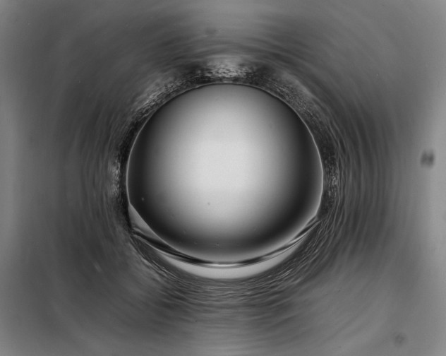 X0000098220556200805011237