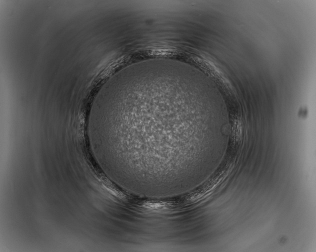 X0000098220557200805011237