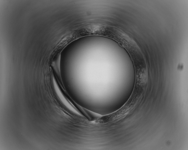 X0000098220558200805011237