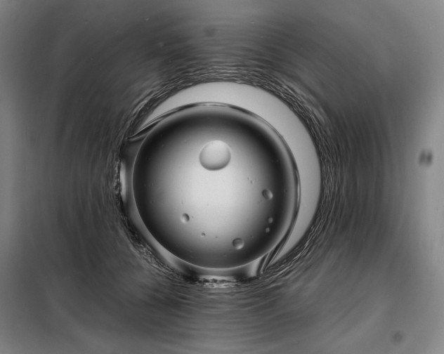 X0000098220560200805011237