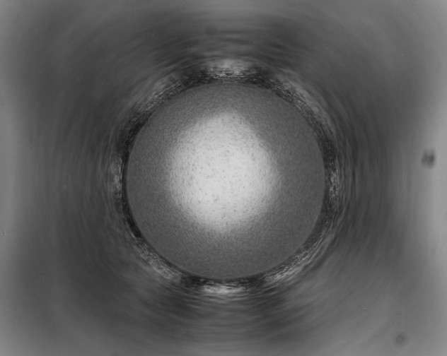 X0000098220561200805011237