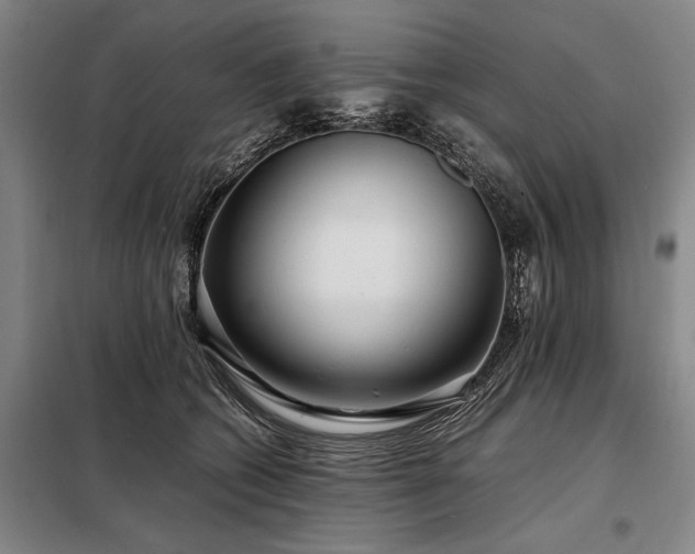 X0000098220562200805011237