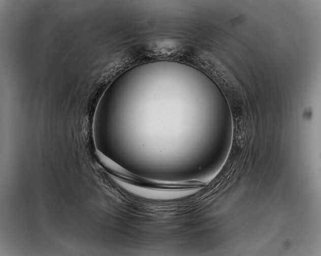 X0000098220563200805011237