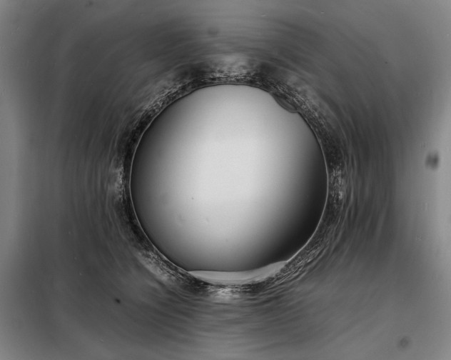 X0000098220564200805011237