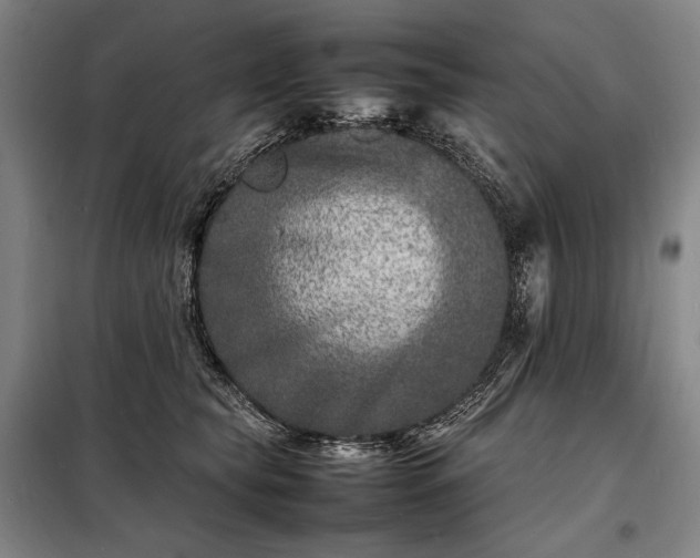 X0000098220565200805011237