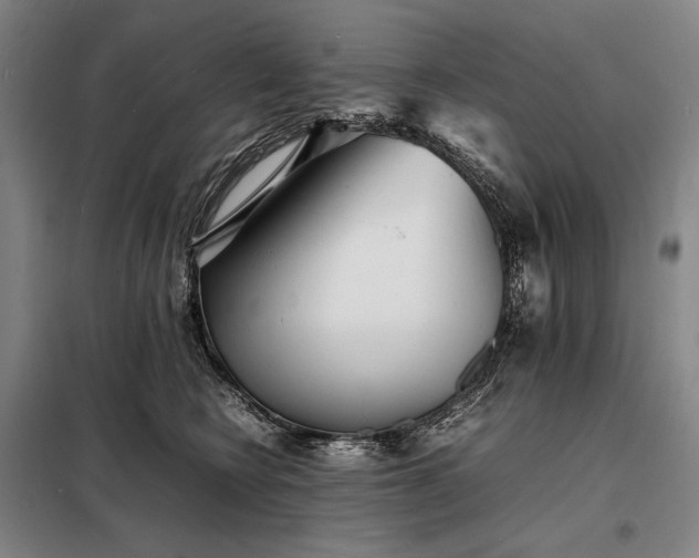 X0000098220566200805011237