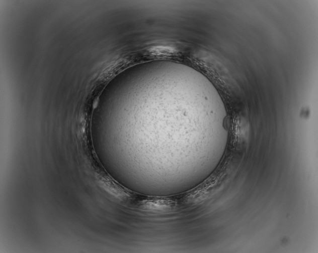 X0000098220567200805011237