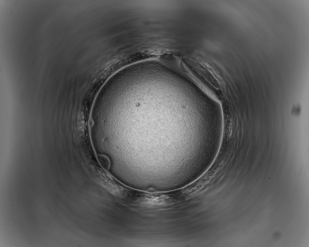 X0000098220569200805011237