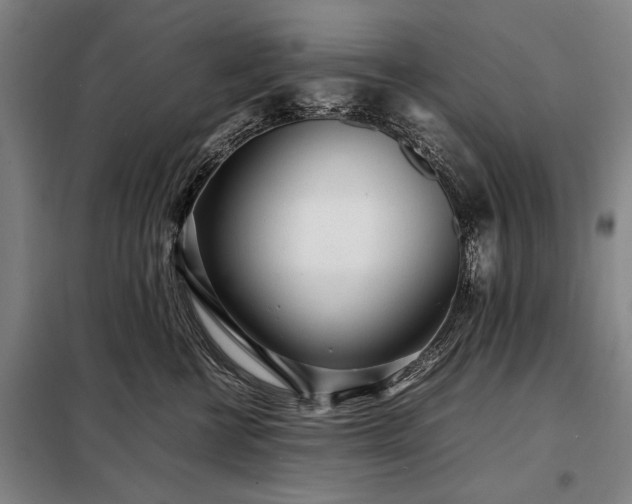 X0000098220570200805011237