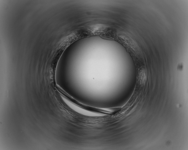 X0000098220571200805011237