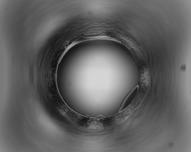 X0000098220572200805011237