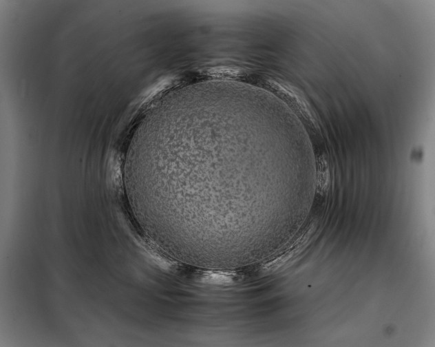 X0000098220573200805011237