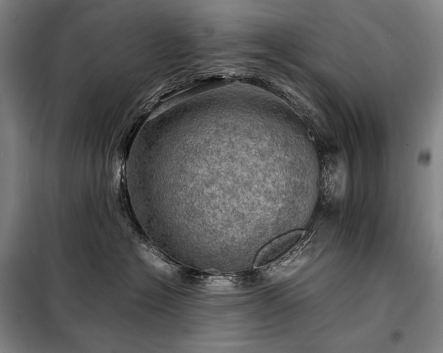 X0000098220574200805011237