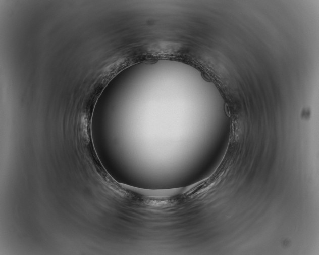 X0000098220575200805011237