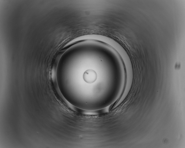 X0000098220576200805011237