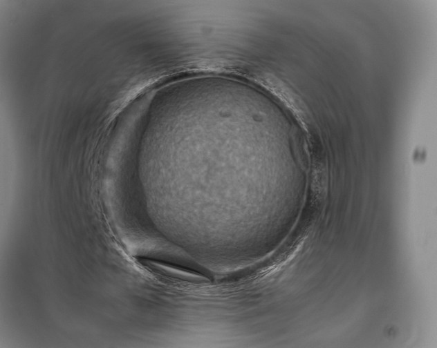 X0000098220577200805011236