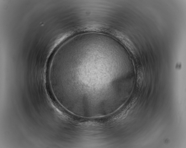 X0000098220578200805011236