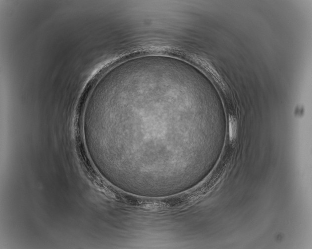 X0000098220579200805011236