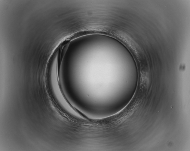 X0000098220580200805011236