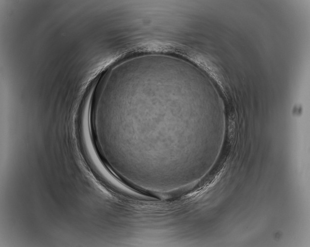 X0000098220581200805011236