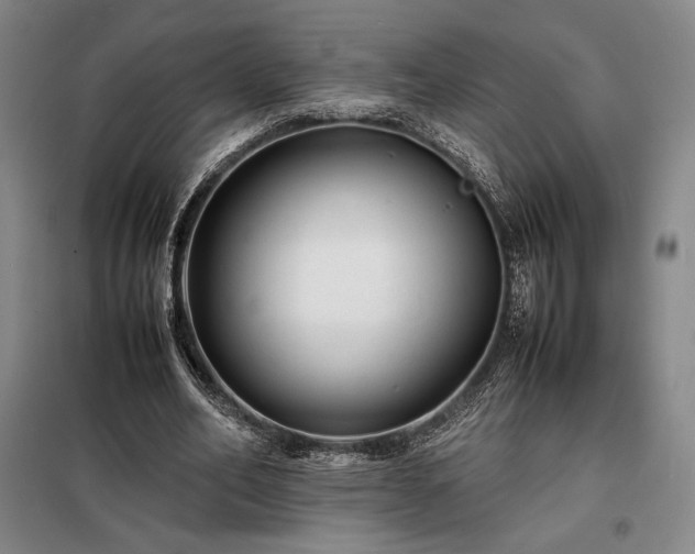 X0000098220582200805011236