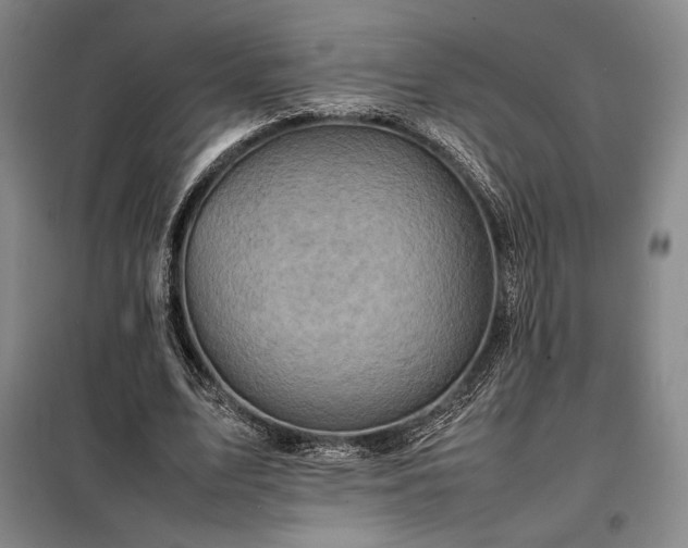 X0000098220583200805011236